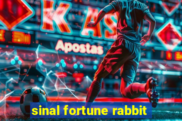 sinal fortune rabbit